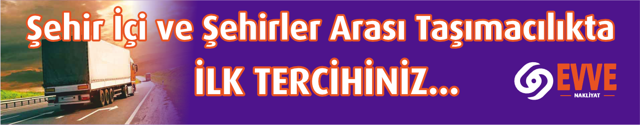 Ankara Muş asansörlü nakliye